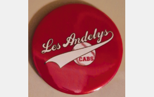 Badge métal épingle